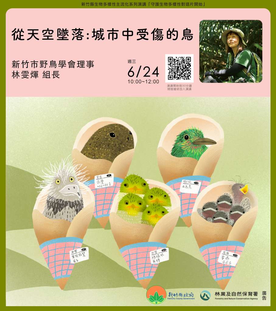 2026生物多樣性海報設計_鳥類.jpg